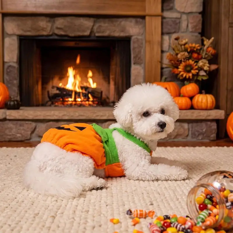 Halloween Pumpkin Pet Costume Cute Pet Dress Funny Pumpkin Outfit Clothes for Small Dogs Cats Teddy Poodle Bichon Party Clothing