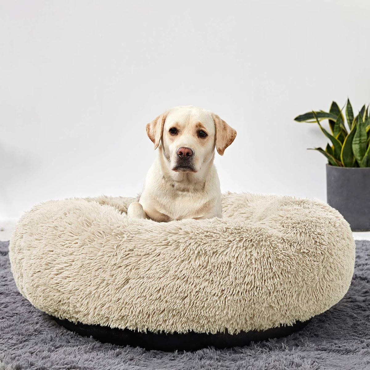 Washable Dog round Bed - Large Donut Dog Bed, Comfy Calming Cuddler
